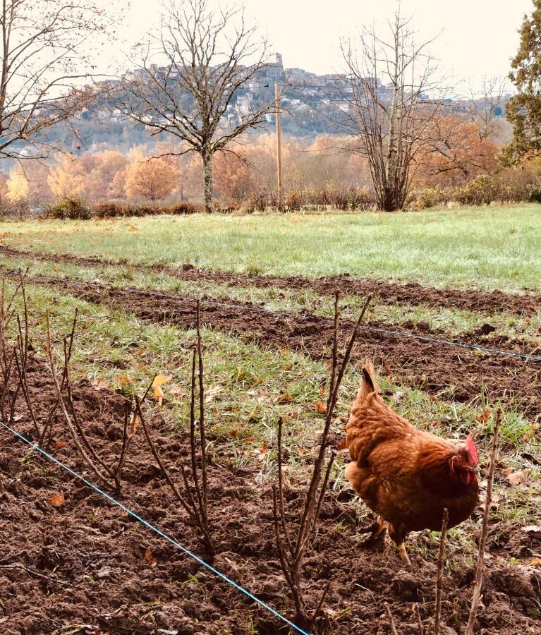 Gite A La Ferme De Verdurette Корд-сюр-Сьель Экстерьер фото